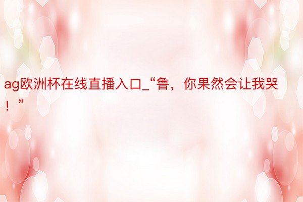 ag欧洲杯在线直播入口_“鲁，你果然会让我哭！”