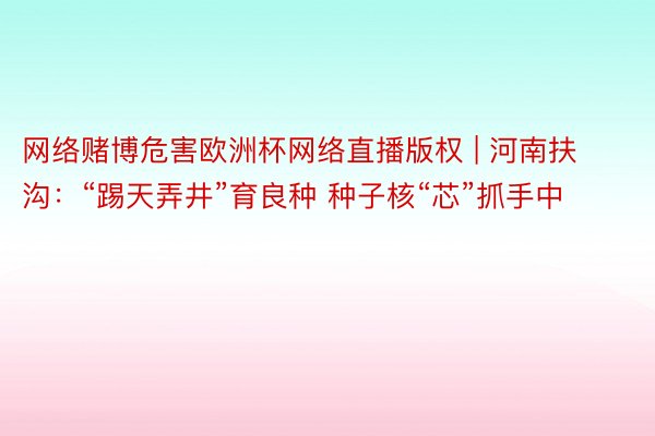 网络赌博危害欧洲杯网络直播版权 | 河南扶沟：“踢天弄井”育良种 种子核“芯”抓手中