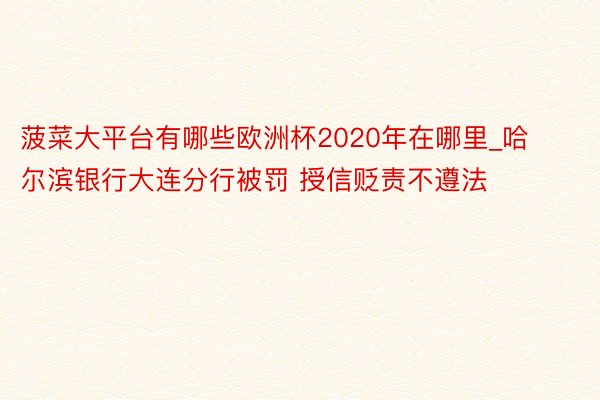 菠菜大平台有哪些欧洲杯2020年在哪里_哈尔滨银行大连分行被罚 授信贬责不遵法