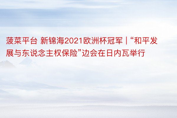 菠菜平台 新锦海2021欧洲杯冠军 | “和平发展与东说念主权保险”边会在日内瓦举行